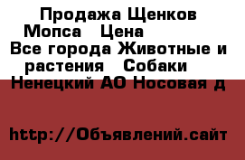 Продажа Щенков Мопса › Цена ­ 18 000 - Все города Животные и растения » Собаки   . Ненецкий АО,Носовая д.